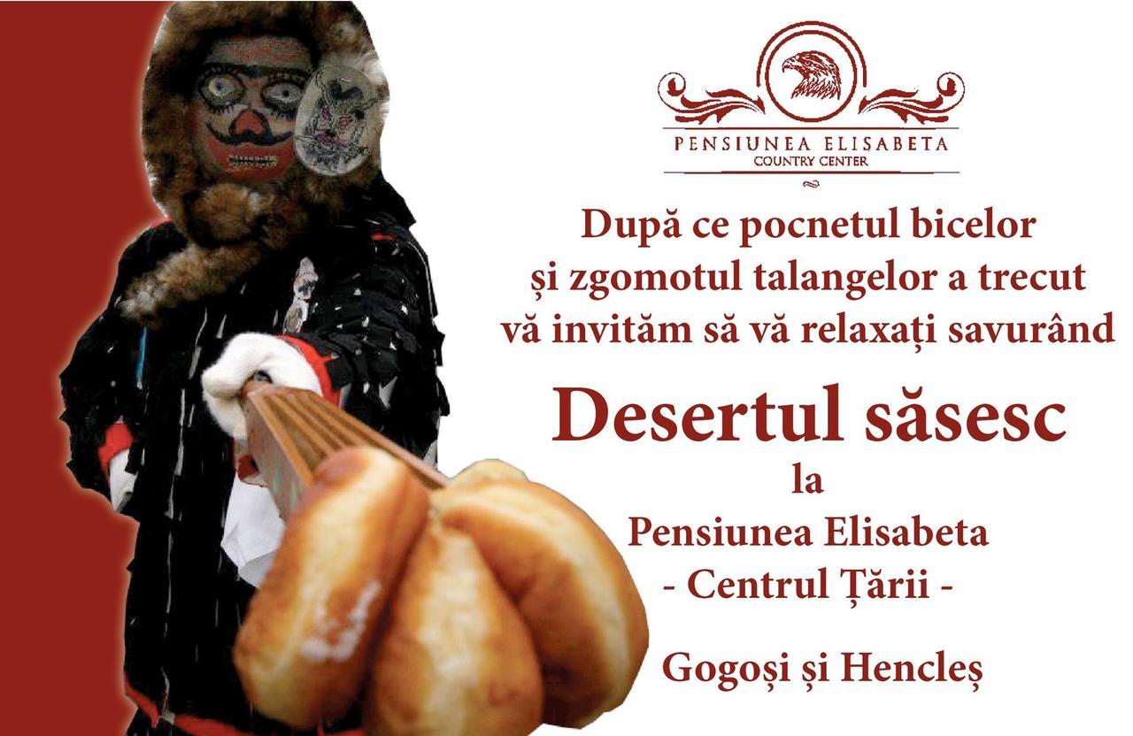 Pensiunea Elisabeta Merghindeal Zewnętrze zdjęcie