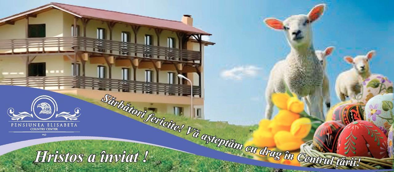 Pensiunea Elisabeta Merghindeal Zewnętrze zdjęcie